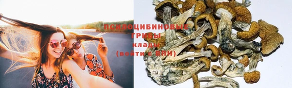 MDMA Алексеевка