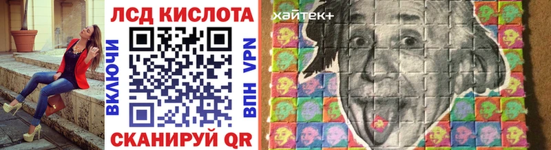 ссылка на мегу зеркало где можно купить наркотик Заполярный Наркотические марки 1500мкг