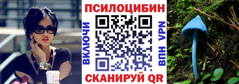 omg зеркало  Заполярный  Галлюциногенные грибы GOLDEN TEACHER  где продают  