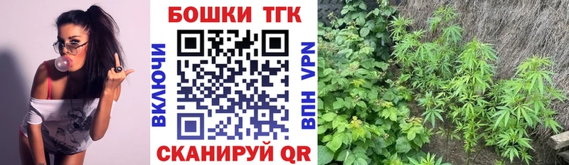 Шишки марихуана семена  Заполярный 